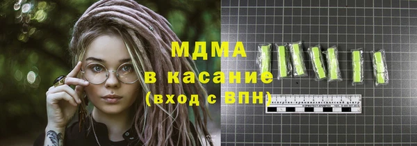 индика Кулебаки