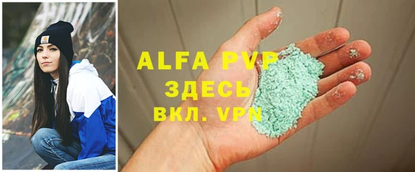 индика Кулебаки