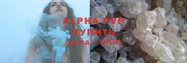 индика Кулебаки