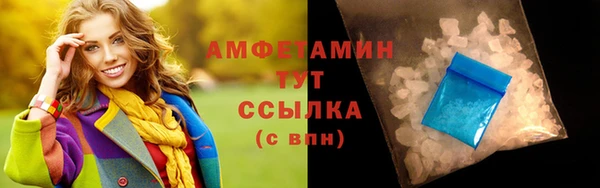 индика Кулебаки