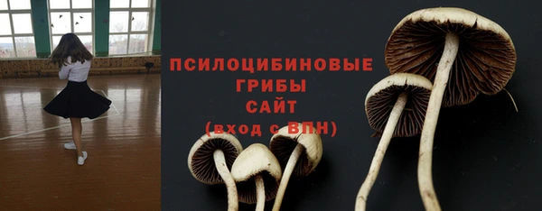 бошки Кукмор