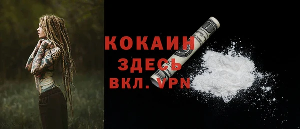 индика Кулебаки