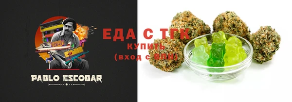 индика Кулебаки