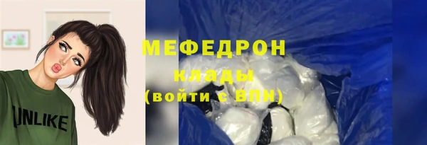 индика Кулебаки