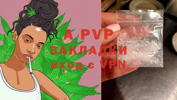 индика Кулебаки