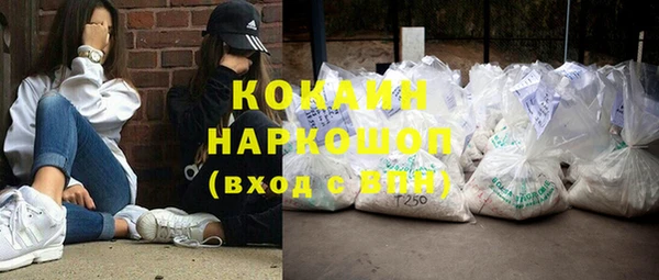 индика Кулебаки