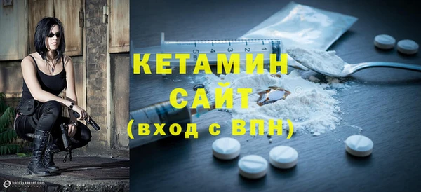 индика Кулебаки
