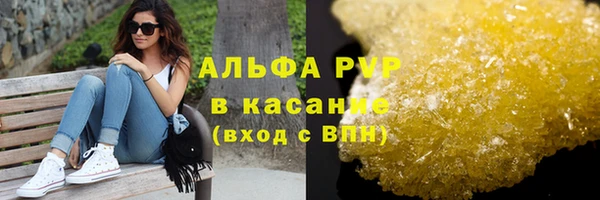 индика Кулебаки