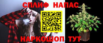 МДПВ Бийск