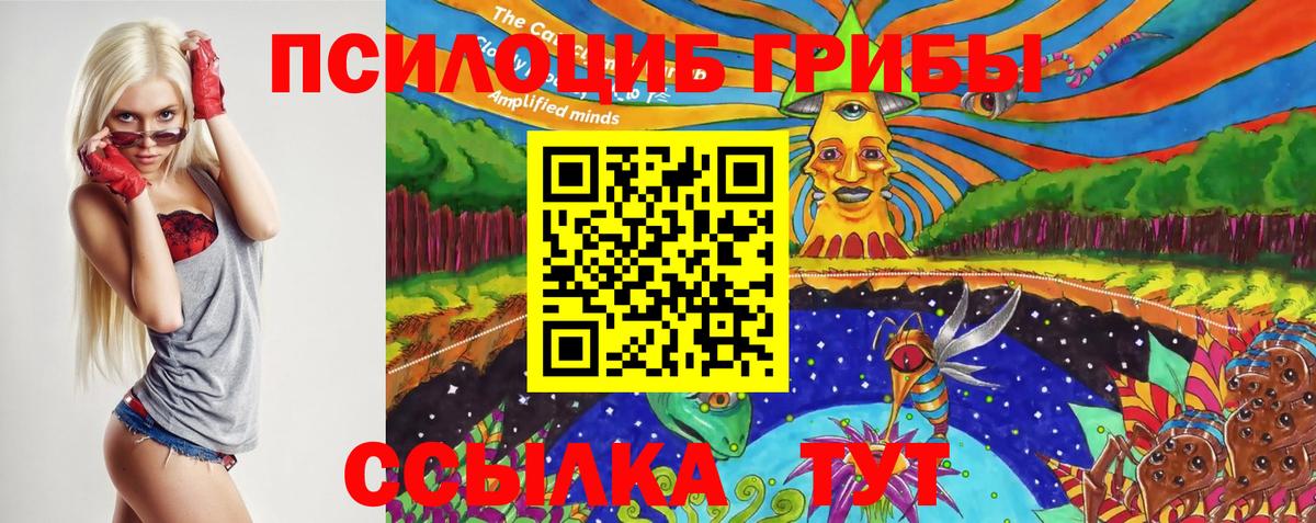 Псилоцибиновые грибы мицелий Москва